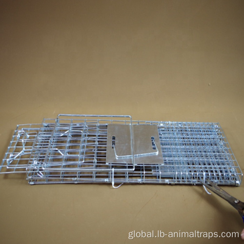 Live Animal Cage Trap Squirrel Cage Trap With Foot Paddle Factory